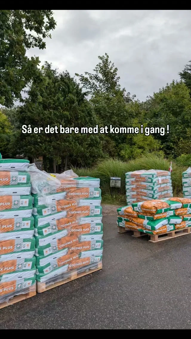 Levering til vejkanten 🥥

🥴 Så er det bare med at komme i gang!
Dette parti af økologisk kokos blev selvfølgelig – som de andre gange – leveret kl. 07.00, midt i et begyndende regnvejr.

🫣 Pallerne skal altid pakke om, da de er for tunge til vores minilæsser, også selvom jeg står bagpå og lægger al min farmer-vægt i bagenden på minilæsseren.

💸 Som lille virksomhed kan vi ikke altid få de samme favorable indkøbspriser som de store producenter, men vi køber de mængder hjem, som vi nu engang har plads til i maskinhallen.

🥥 Kokosmediet skal naturligvis også kvalitetstjekkes!
🐾 Fnug melder sig altid klar ✅
Hun tager sit arbejde som kvalitetschef meget seriøst og fiser rundt i en testportion for at sikre, at både finhed og fugtighed er helt, som det skal være.

🌱 Det økologiske kokosmedie anvendes til vores produktion af Mikrogrønt, og man kan aldrig gå på kompromis med kvaliteten, når man dyrker de små fine skud.

Daglig dagen på en gård er altid et arbejde med slid og slæb af tunge ting - men vi behøver derfor heller ikke at tage i træningscenteret mere 💪🏼

#gårdbutik #økologisk #økologi #regenerativlandbrug