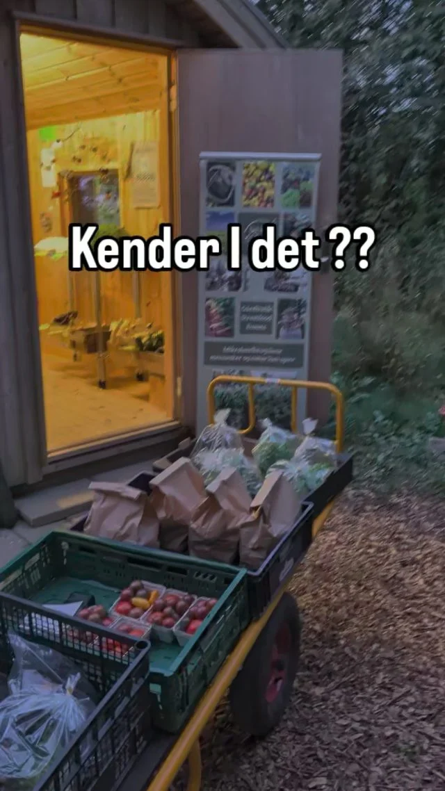 Kender I det? 😫 Man gider egentlig ikke ..... 
på arbejde

Sådan har jeg det heldigvis slet ikke. 

Men jeg indrømmer, at nogle gange er det knap så sjovt at stå sent om aftenen og få dagens sidste opgaver i mål – som f.eks. i går at få fyldt gårdbutikken op.

Men se lige her 🤩 Der er kommet masser af nyt keramik i butikken, for mor Anja har været her med sine kreative ting.

Kom forbi og støt lokalt !

Når du handler, er du nemlig med til at skabe mere liv og mangfoldighed i dit eget nærmiljø, 

Lokalt og småt gør en forskel🌱

Det lille Økori GÅRDBUTIK 🥚
📍 Lystrupvej 16
8781 Stenderup 

#gårdbutik #økologisk #økologi #regenerativlandbrug #keramik