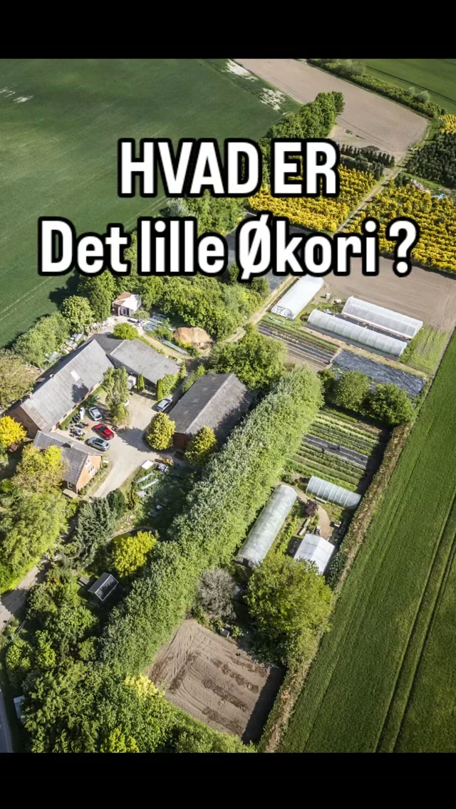 Mere end grøntsager ✅
Vores mikrojordbrug mellem Horsens og Vejle, er etableret af os - Anders & Sissel 💚

Vi dyrker økologiske grøntsager, mikrogrønt og østershatte samt får æg af de økologiske frilands høns som hygger sig i plantagen 🌲
Alt sælges fra vores gårdbutik og vi leverer også til restauranter og kantiner i nærområdet.

Hos os vokser ukrudtet også lystigt 😆
Men det har givet plads til langt mere biodiversitet, flere fugle, insekter og andre dyr.

Ingen af os er uddannet inden for landbrug - tværtimod så kommer vi fra helt andre brancher! Men vi havde en drøm og den har vi knokler hårdt for! 
Vi har skullet lære det hele selv - vi har fucked up, fejlet, fucked mere op, prøvet igen og lært en masse undervejs.

For os er Det Lille Økori mere end at drive et jordbrug, passe på vores fælles jord og dyrke råvarer.
Det handler om at bringe mennesker tættere og skabe relationer.

📍 Gårdbutik: Lystrupvej 16, 8781 Stenderup 
Mellem Vejle og Horsens

#gårdbutik #økologisk #regenerativtjordbrug