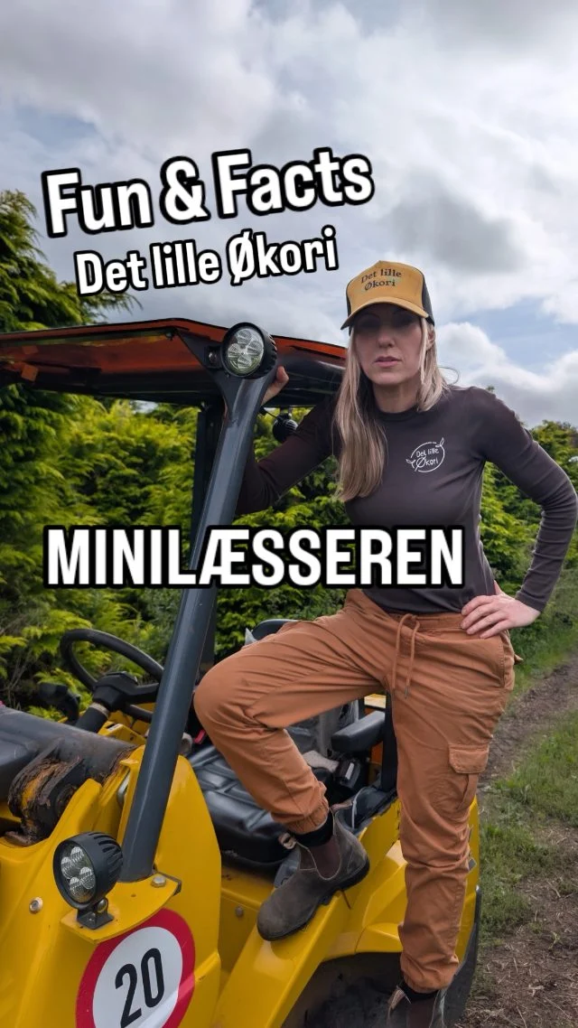 💡FUN & FACTS – MINILÆSSEREN 🔥

Sissel fortæller om den gule minilæsser 
Den kan køre stærkt ! 

Har du spørgsmål til maskinerne – eller til livet på gården?

#gårdbutik #traktor #økologisk #minilæsser
