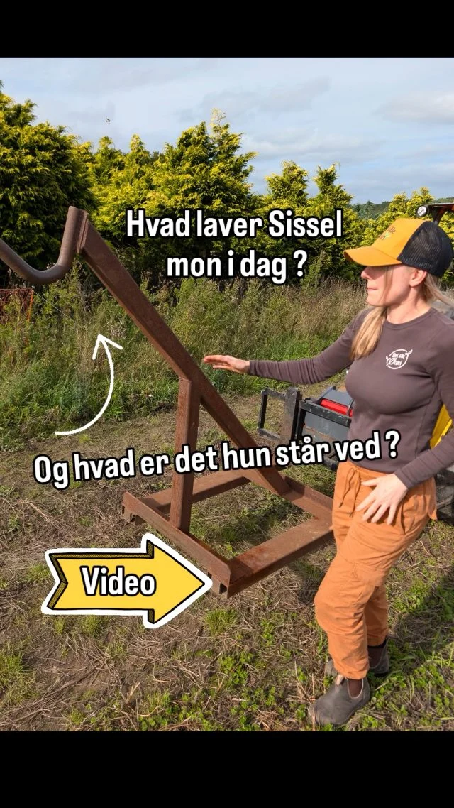 Farmer spørgsmål - Har du et kreativt bud ??? 😄

Sissel er ude at tøffe rundt i minilæsseren
– dog ikke ligefrem i hare mode i dag 🐰

Der er en hemstregims monterer foran minilæsseren
- Men hvad pokker er det egentlig for en himstregims… og hvad bruges sådan én til? 👀
Gæt med i kommentarfeltet – 
Har I et kreativt bud ??? 😄 
Det vil for nogen være svært at gætte rigtigt !!!

Følg med ! Og få svaret i en anden video !

#gårdbutik #grøntsager #økologisk