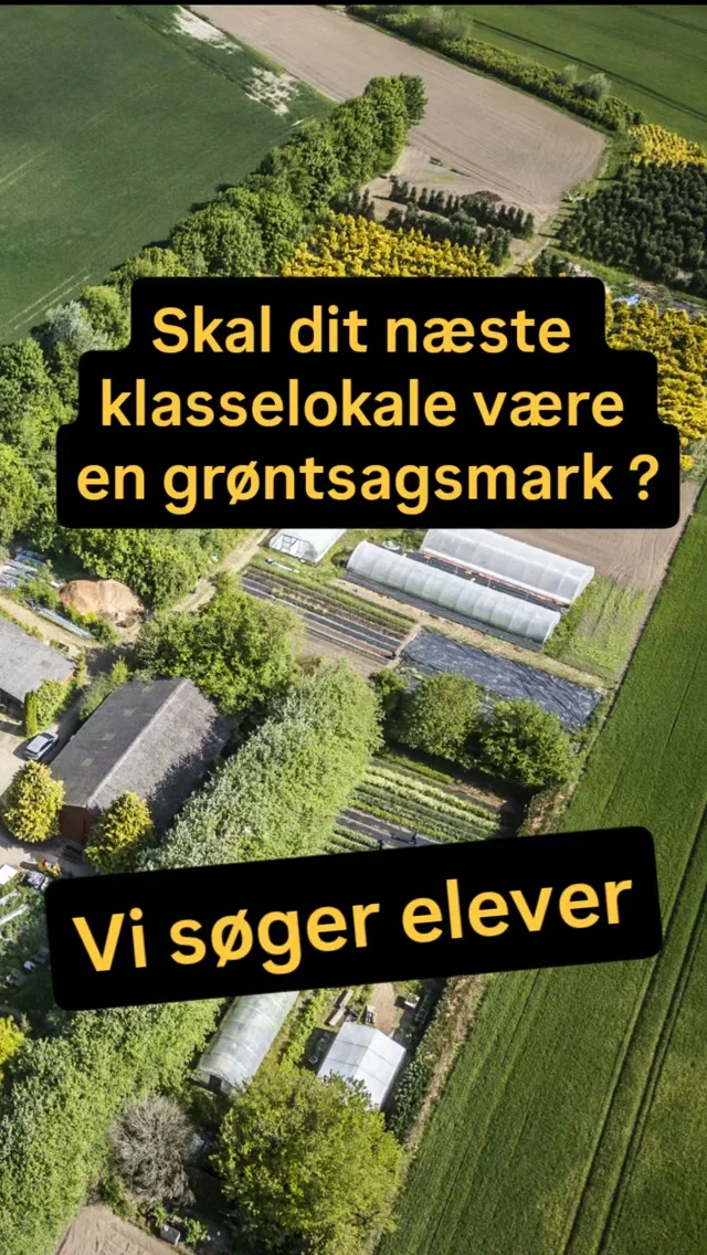 Er dit næste klasselokale en grøntsagsmark?

 - Og vil du have at din uddannelse handler om levende jord, grøntsager, biodiversitet, mennesker og det at skabe noget, der faktisk skal spises?

Vi søger elever til den kommende sæson 🌞

En elevplads er for dig, der gerne vil lære jordbrug gennem både teori og praksis ✅

Hos Det Lille Økori bliver du en del af hverdagen på et økologisk jordbrug med dyrkning af grøntsager, høst, gårdbutik og lokale kunder.

Undervisning på skolen kombineres med et arbejde i praksis på gården.

- Måske er det en vej, du aldrig har tænkt på før ?

Du behøver ikke vide præcis, hvor du ender. 
Du skal bare have lyst til at begynde !
Her på landet kan drømmen om at være midt i naturen blive til virkelighed !

Kender du én, der burde vide til denne mulighed ?

🌱 Så send opslaget videre !

#regenerativefarming

#gårdbutik #regenerativjordbrugsuddannelse