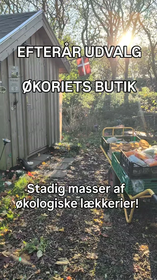 🍂 EFTERÅR I GÅRDBUTIKKEN

Nyd sæsonens Øko grøntsager, Øko æg fra frilandhøns, mikrogrønt og østershatte.

Vi har fyldt butikken op med alt det gode fra ØKORIETS udvalg.

📍 Lystrupvej 16, 8781 Stenderup
🌿 Altid åben for høflig selvbetjening
🚗 Parkering i gårdspladsen